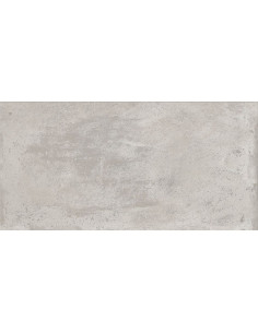 Antico Light Grey Natural Eco 60 X 120